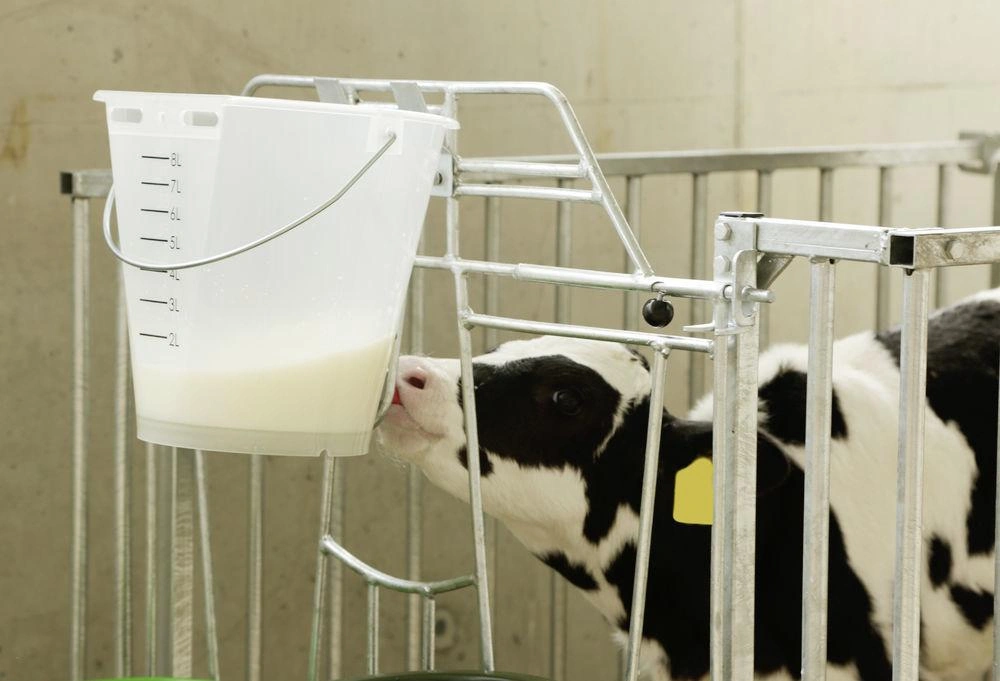 Milking afbeelding