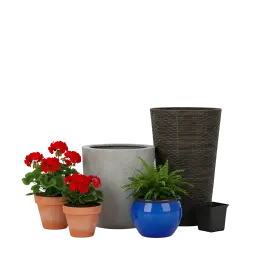 Plant Pots, Flower Pots afbeelding