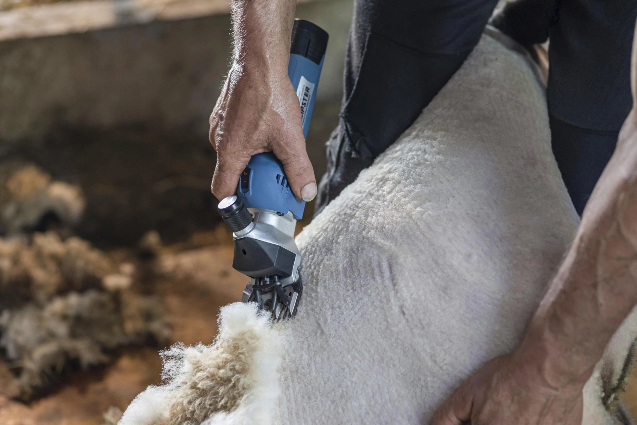 Sheep Shearing Machines afbeelding