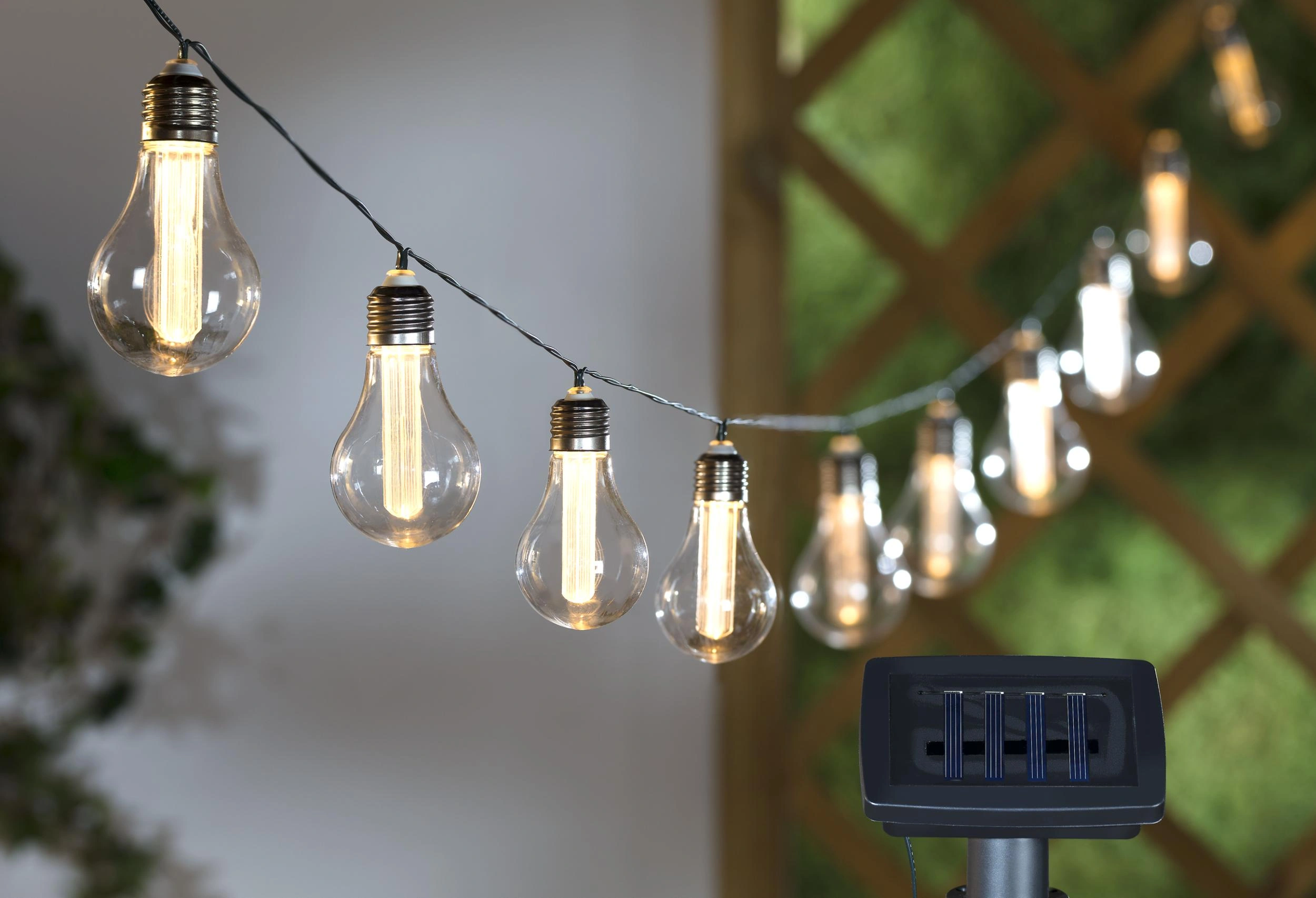 Fairy Lights afbeelding