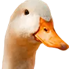 Gänsefutter afbeelding