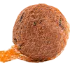 Meisenknödel mit Netz afbeelding
