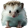 Igelfutter afbeelding