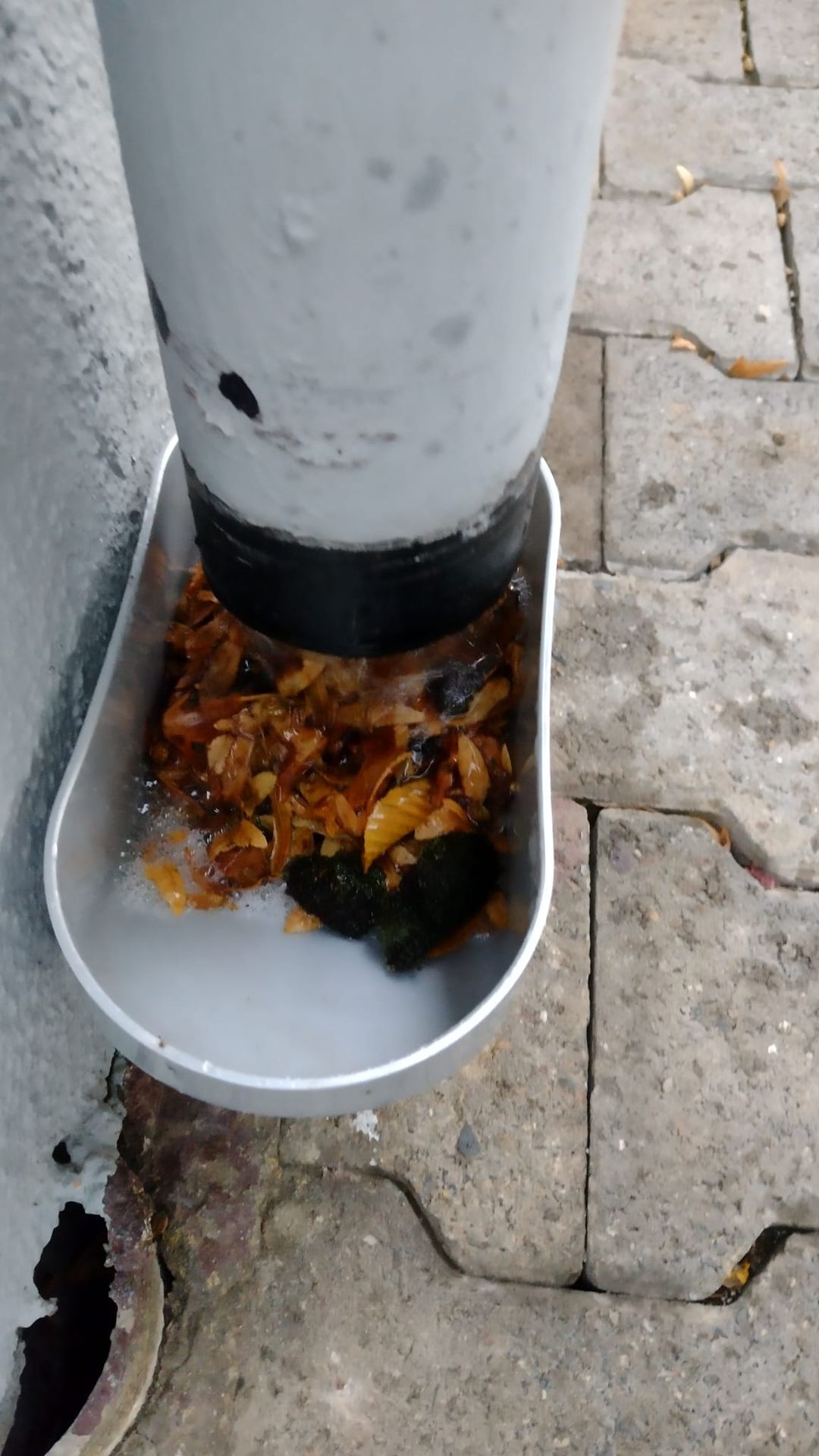 Bijlage beoordelen