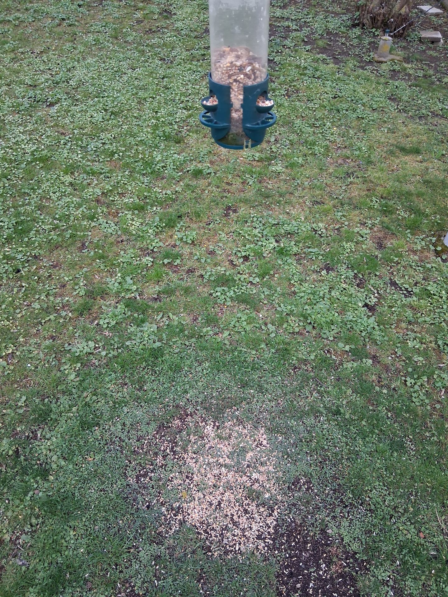 Beoordeel foto