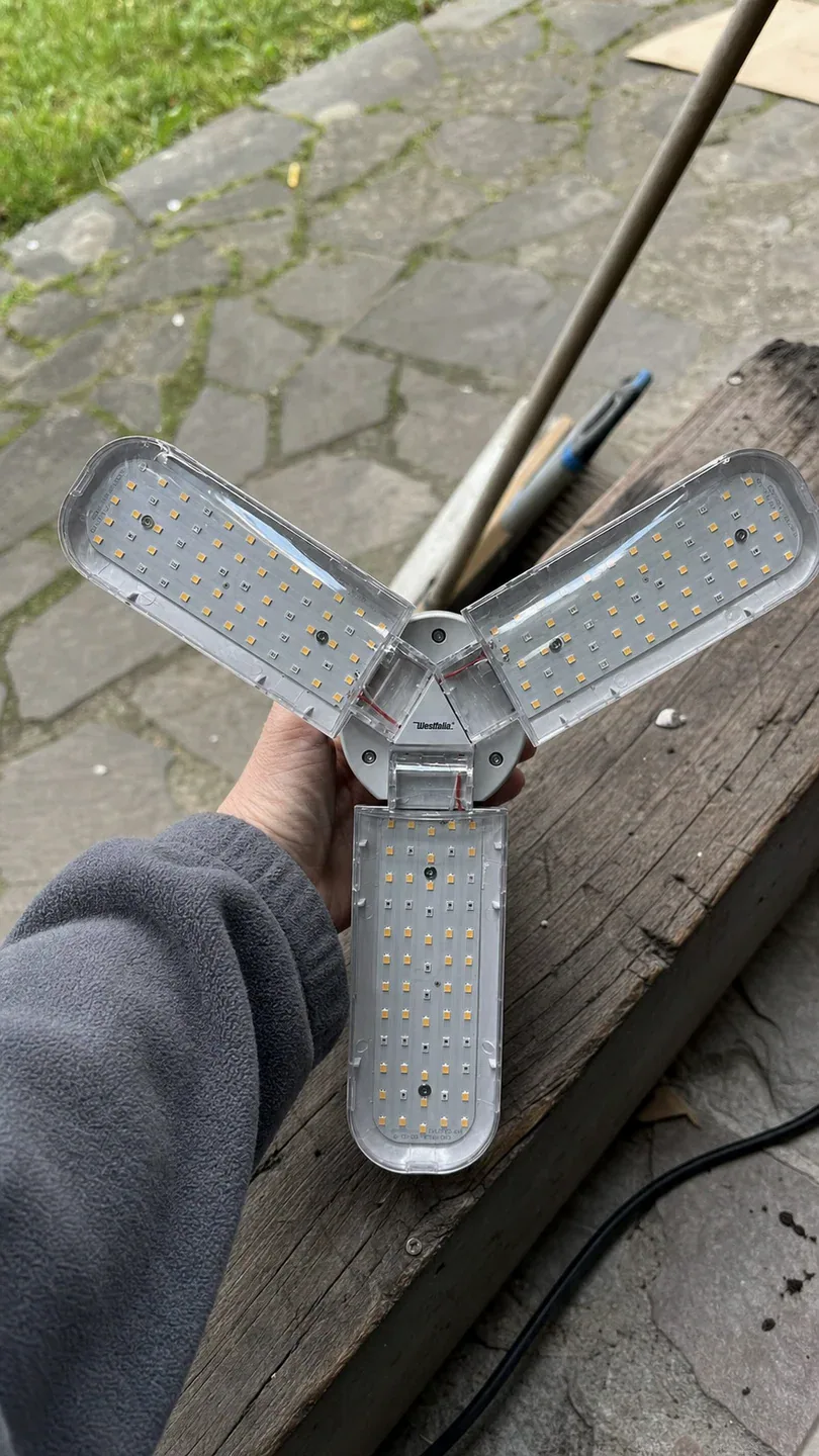 Bijlage beoordelen