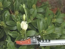 Special scissors "Rosenkavalier" + Rose Miracle Scissors + eversharp 5-in-1 multifunctional spray, 400 ml