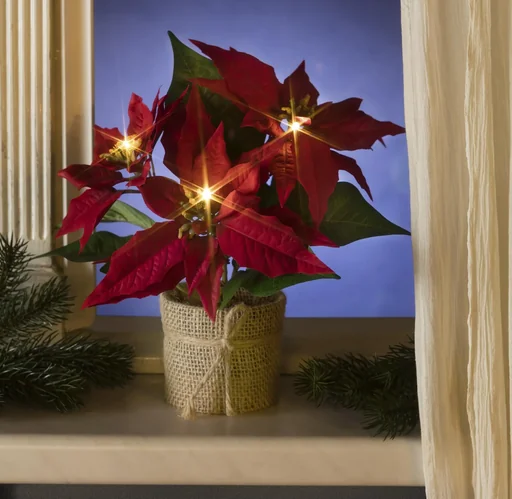"LED poinsettia image"