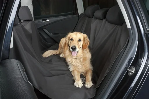 "Hundedecke Nero image"