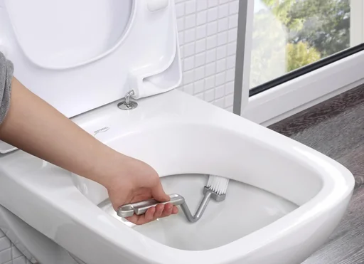 "toilet rim brush image"