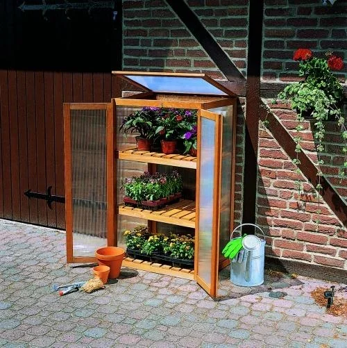 "Growing cabinet for plants image"