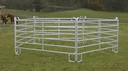 Pasture panel - fence element 3.6 m length, 1.7 m height