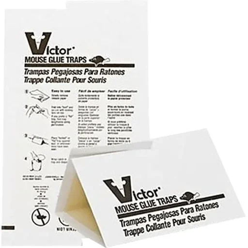 "Victor Glue Trap - for mice - 72 pieces image"