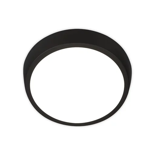 "HAGEN LED outdoor light, wall and ceiling light, black, IP44, 24 watts, 2,160 lm, 4,000 K image"