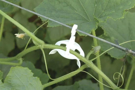 "Tomato trellis kit for plastic greenhouses image"
