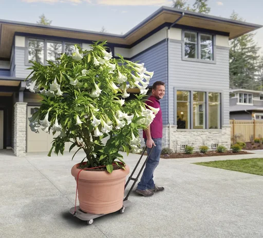 "4 in 1 heavy-duty “TransPorter” image"