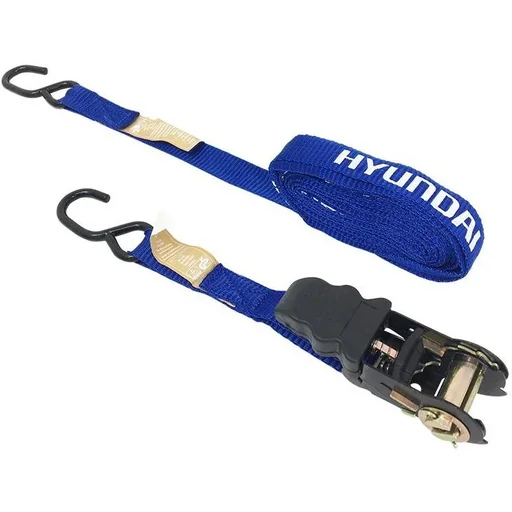 "Lashing strap with ratchet and hook 25mmx5m. image"