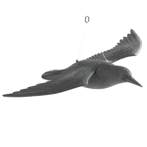 "Bird - Defense against flying falcon image"