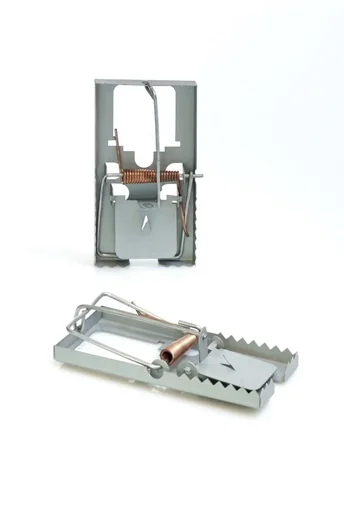 "Metal mousetrap in a set of 2 image"