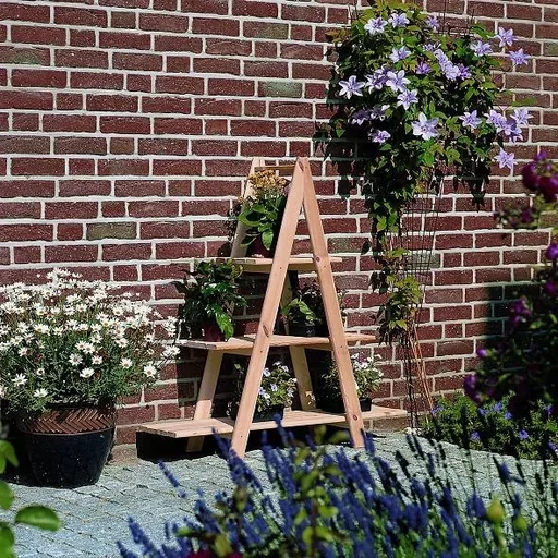 "Decorative ladder large, natural image"