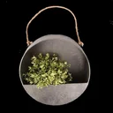 Wall planter