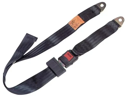 "Adjustable safety belt image"
