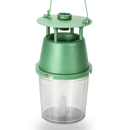 "Box tree moth trap including attractant image"