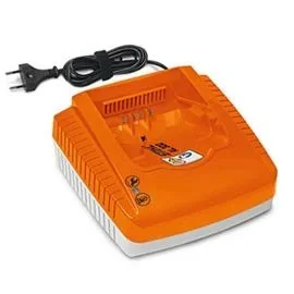"Fast charger AL 300 image"
