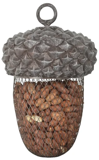 "Acorn feeding station image"