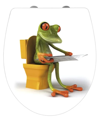"Toilet seat "Frog News", Duroplast acrylic image"