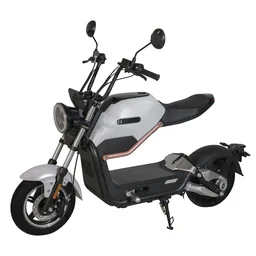 Design-e-scooter "Max" 45 km/h wit
