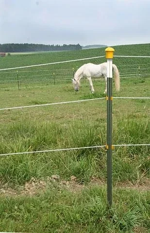 "Metal post T-Post, 213 cm, 60 pieces image"