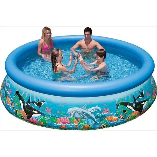 "Easy Set Pool with pressure Ø 305 image"