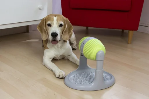 "Pet food dispenser "Starlyf" image"