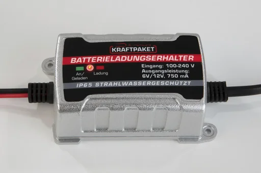 "Battery maintenance charger image"