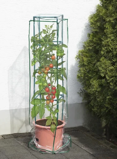 "Grow hood/cover/cover suitable for plant tower "Maxitom" and "Maxitom Jumbo" image"