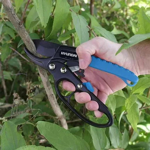 "Deluxe Astschere mit Rochettfunktion 20cm image"