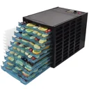 Food dryer with 10 square trays