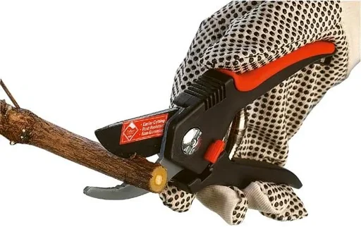 "Anvil garden shears + bypass garden shears in a set image"