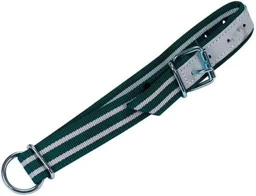 "The neck strap image"