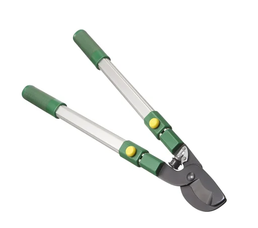 "Telescopic loppers, cutting past, 62-91 cm image"