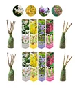 Blooming set of 8 ornamental shrubs 50 - 70 cm