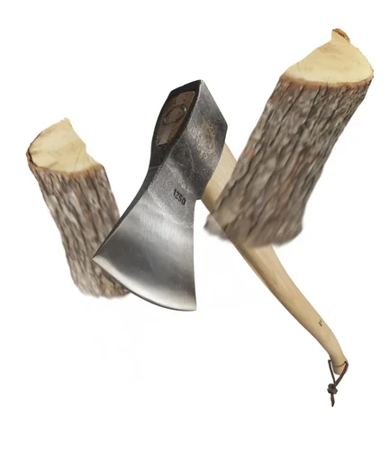 "Axe 1250 g DIN 7294 with hickory handle image"