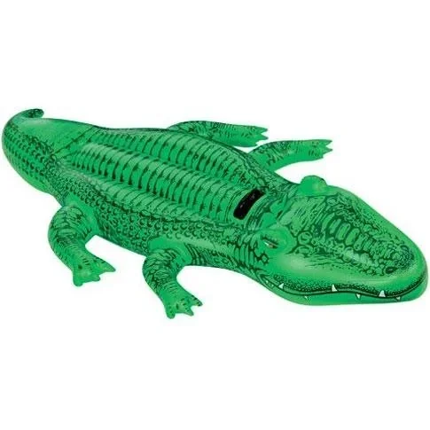 "Inflatable little crocodile image"