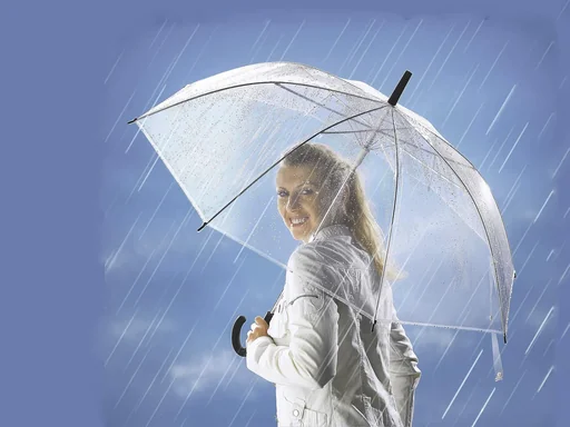 "Transparent umbrella image"