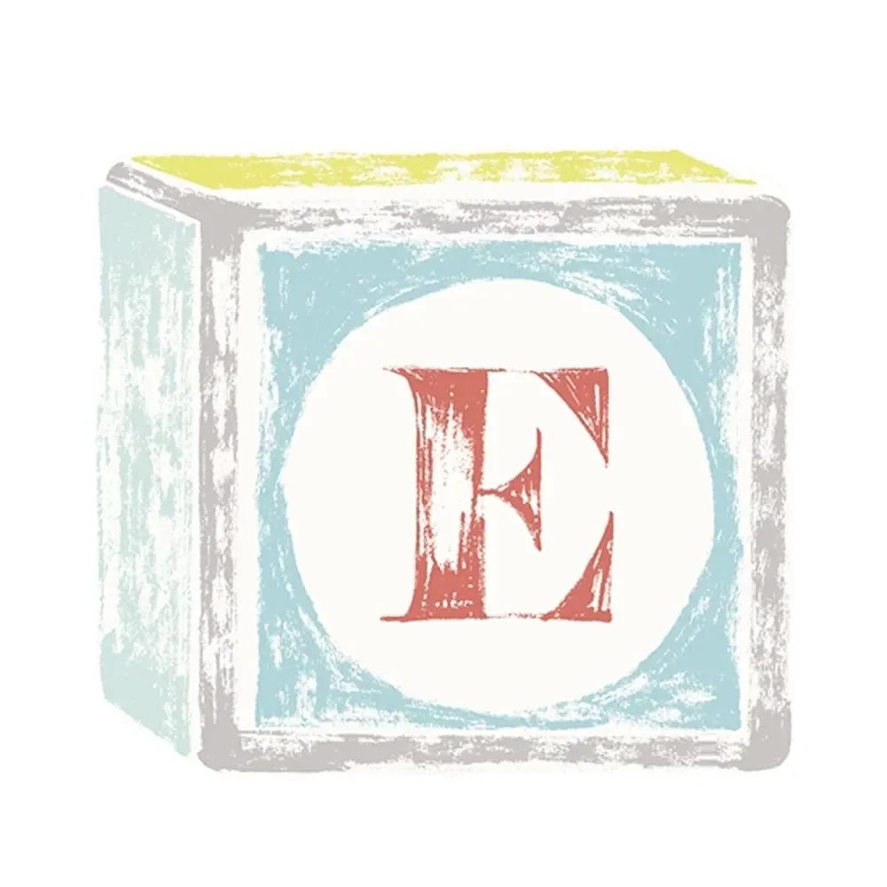 Lilipinso stickerletter op speelkubus E