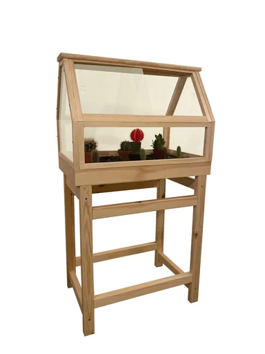"Mini greenhouse on legs image"
