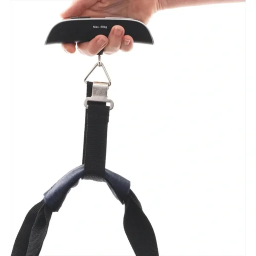 "Suitcase scale image"