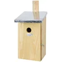 Observation nest box