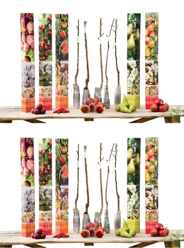"Flower-up set with 10 fruit trees 90 - 100 cm image"